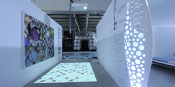WT Studio - Well-Tech